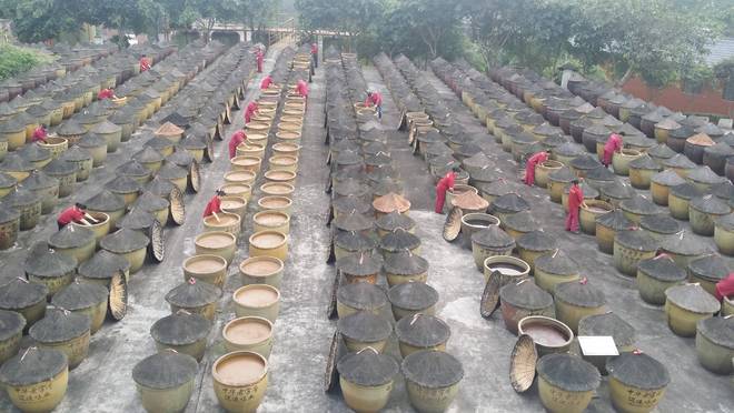 匠心酿岁月 薪火相传谱新篇冰球突破技巧江津酿造：百年(图3)
