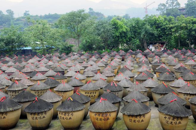 匠心酿岁月 薪火相传谱新篇冰球突破技巧江津酿造：百年(图5)