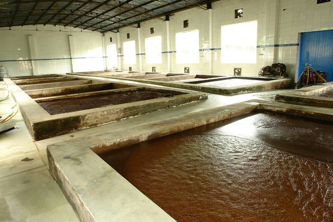 匠心酿岁月 薪火相传谱新篇冰球突破技巧江津酿造：百年(图8)
