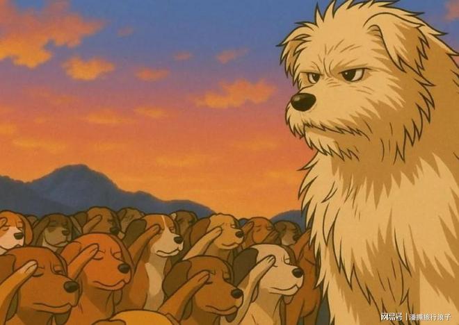 爆火！身价飙升至10万美元狗主人被扒冰球突破豪华版贵州下司犬“查理国王”(图2)