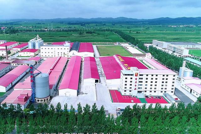 其食品演绎“酱人匠心”冰球突破笃行30载:香(图3) 其食品演绎“酱人匠心”冰球突破笃行30载:香(图3)